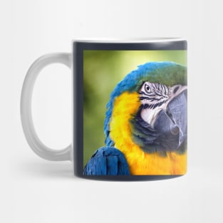 Macaw Parrot Mug